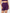 Purple Viper shorts