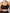 Midnight Leopard bra