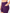 Purple Viper shorts