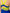Electric Wave bra